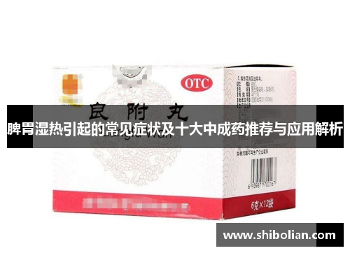 脾胃湿热引起的常见症状及十大中成药推荐与应用解析