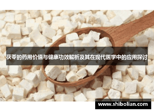 茯苓的药用价值与健康功效解析及其在现代医学中的应用探讨