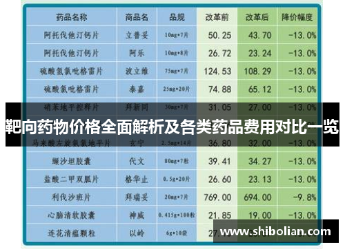 靶向药物价格全面解析及各类药品费用对比一览