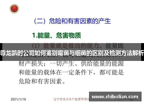 尊龙凯时公司如何鉴别霉菌与细菌的区别及检测方法解析